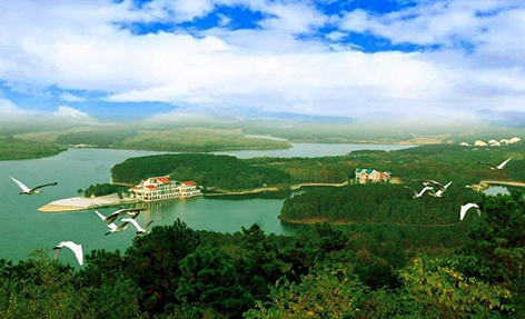 桫椤湖国家湿地公园