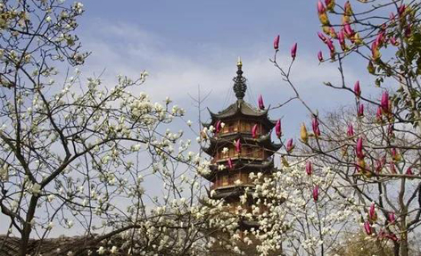常州红梅公园